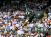 九游体育直播-关于世界网球队横扫欧洲网球队，德约科维奇完成帽子戏法的信息