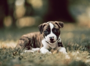 九游体育APP下载-拉梅洛爆发引领浙江队巅峰对决，力克山西队展现实力