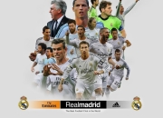 九游APP-从NBA总决赛到国际赛场，当爱尔兰式终结成为竞技世界的焦点隐喻