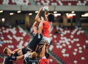 九游中国-狼群战术与孤胆猎手，森林狼的团队压制与布伦森的持续杀伤