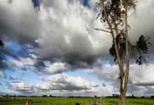 九游体育直播-冷门与传奇，国米意外撼动西班牙，坎特在德甲争冠战上演王者归来