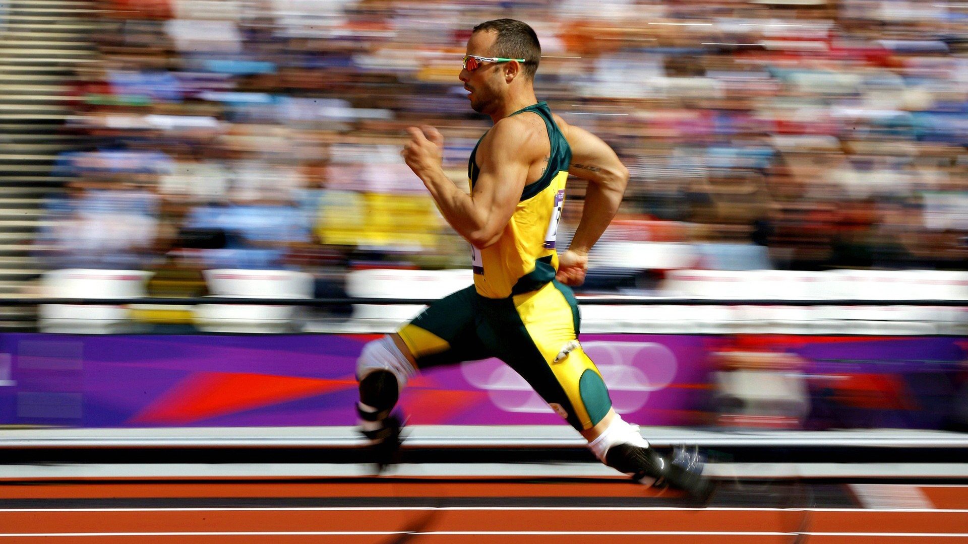 孤城之王，霍勒迪的统治之夜，当国王的权杖折断猛龙之翼