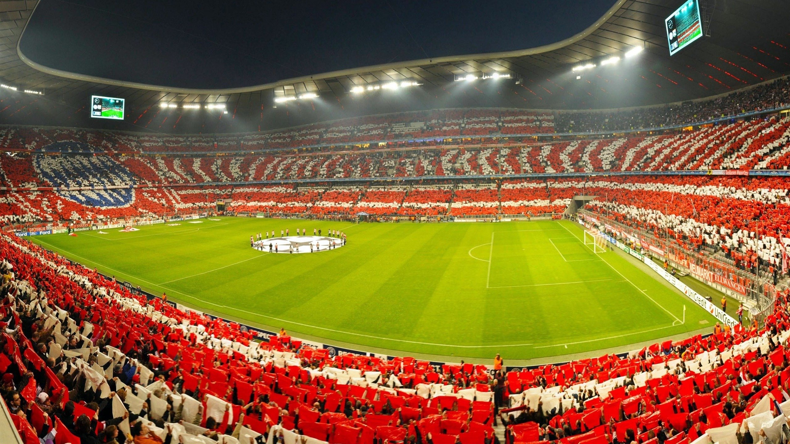 当狐狸露出獠牙，深圳猎龙记与篮球场上的唯一性法则